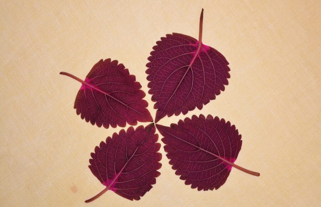 脇脱毛での剃り残しを防ぐためのコツは？