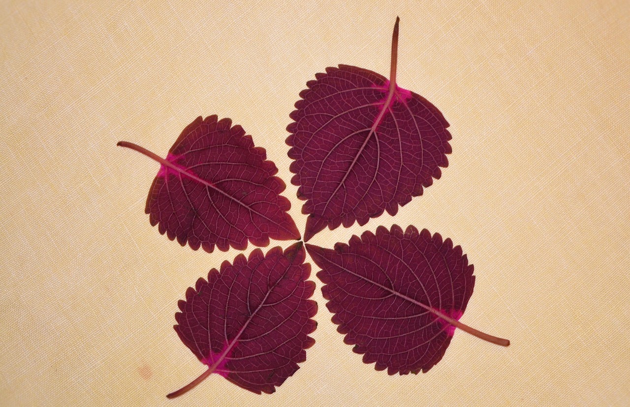 脇脱毛での剃り残しを防ぐためのコツは？