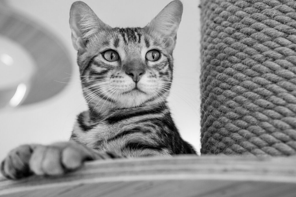 ひげの医療脱毛を受けた後に後悔しないためのポイントは？