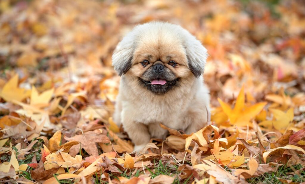 最安保証は本当に存在するのか？