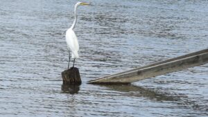 赤みはいつまで続くのが正常なの？