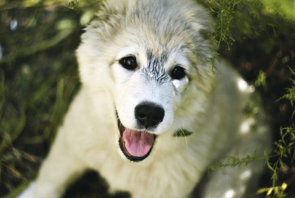 医療脱毛の痛み対策として効果的な方法は？