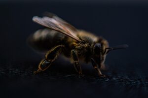 医療脱毛の比較における重要な条件とは？